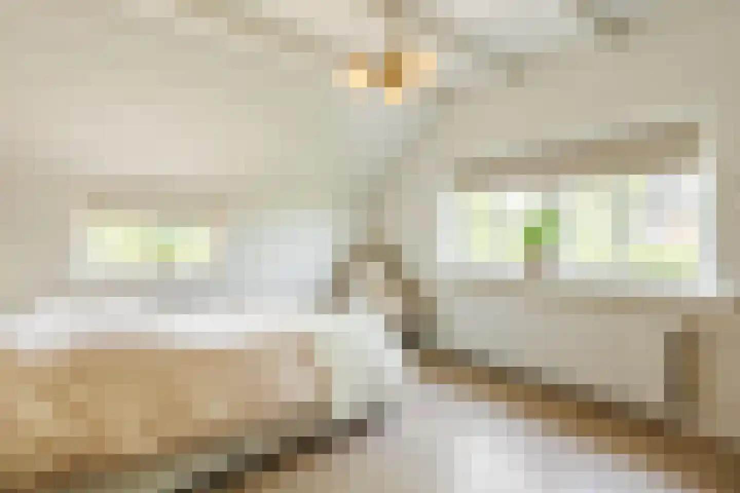 Achter de Broeken 6 Ruinen thumbnail 21