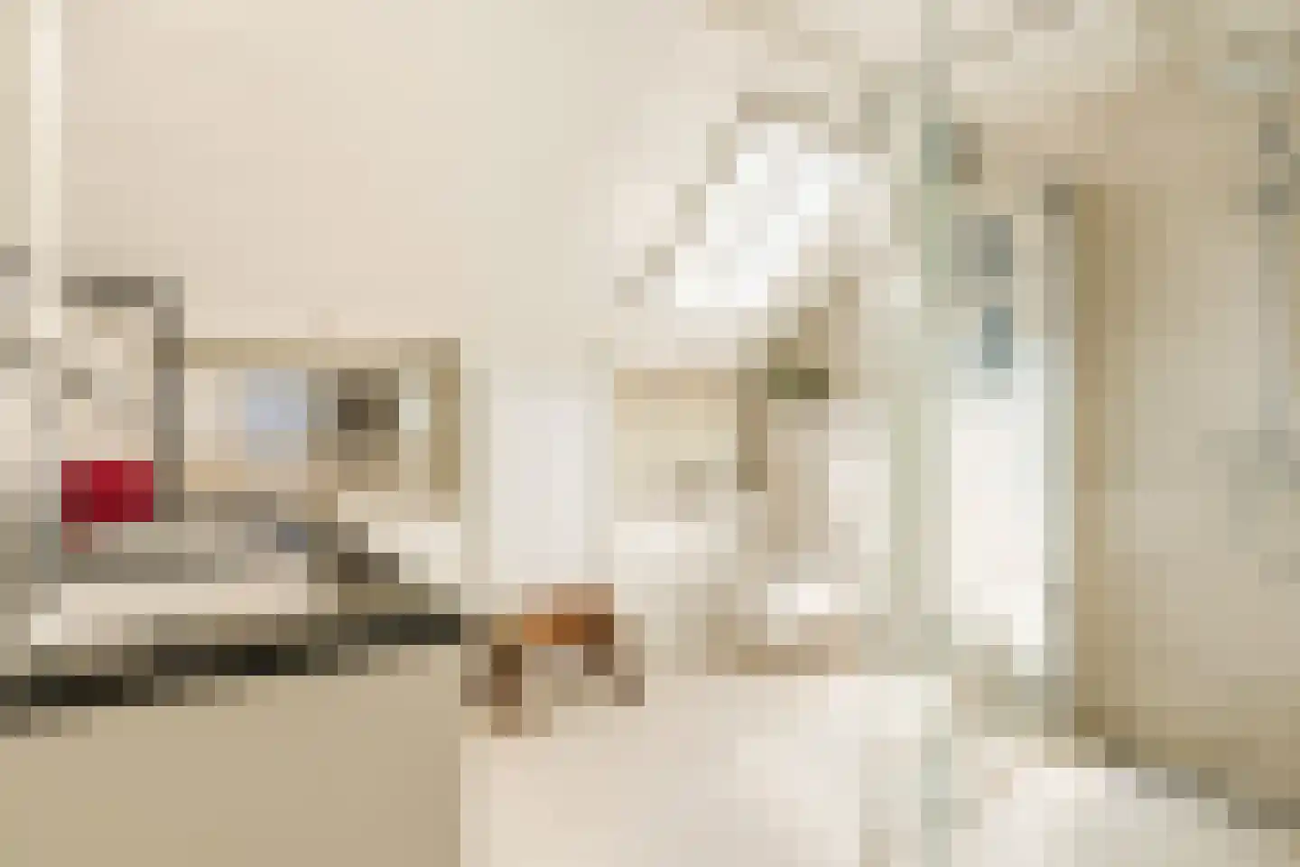 Achter de Broeken 6 Ruinen thumbnail 23
