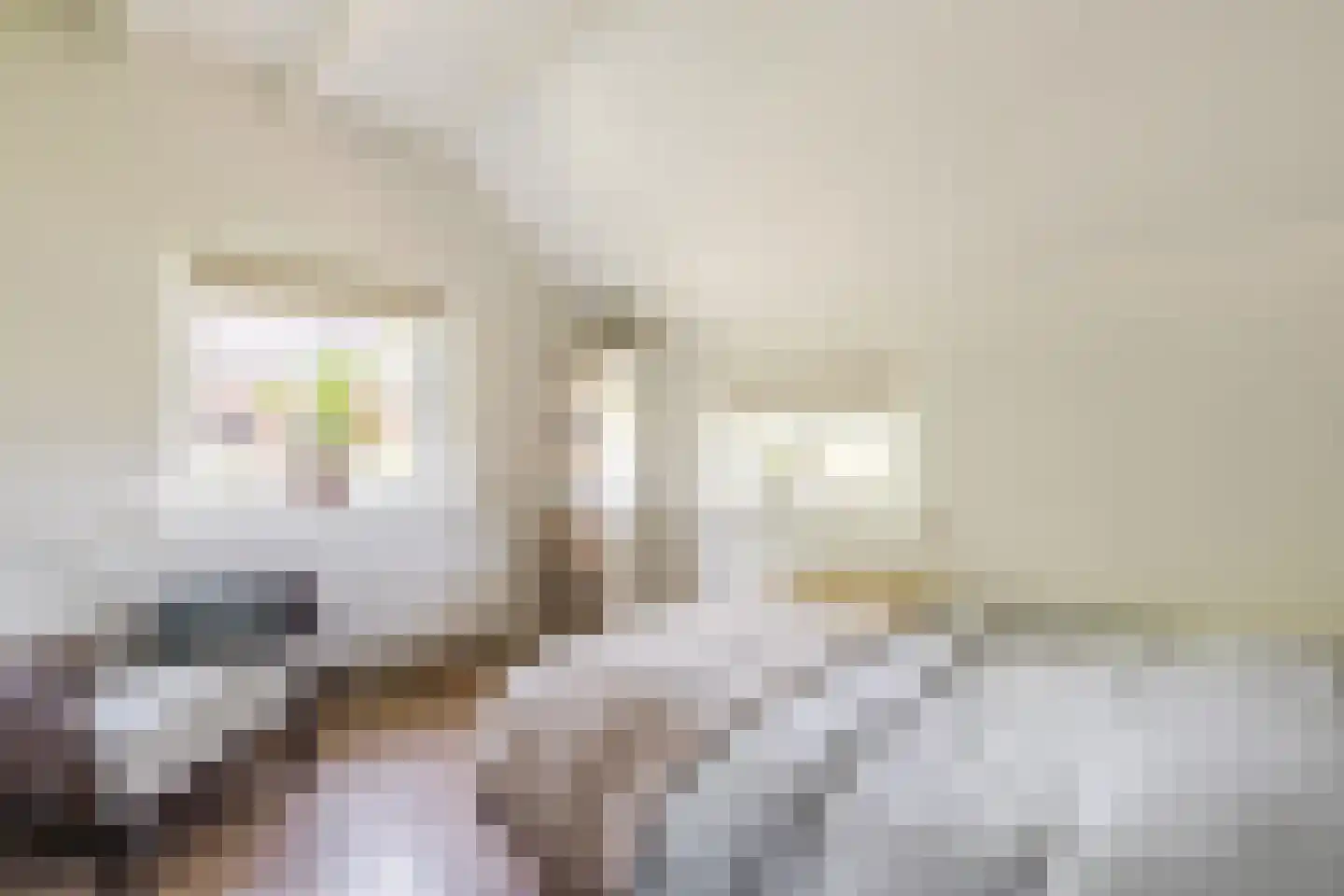 Achter de Broeken 6 Ruinen thumbnail 27