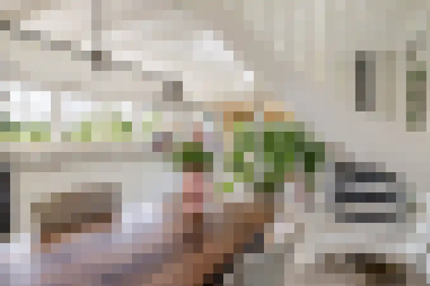 Achter de Broeken 6 Ruinen thumbnail 28