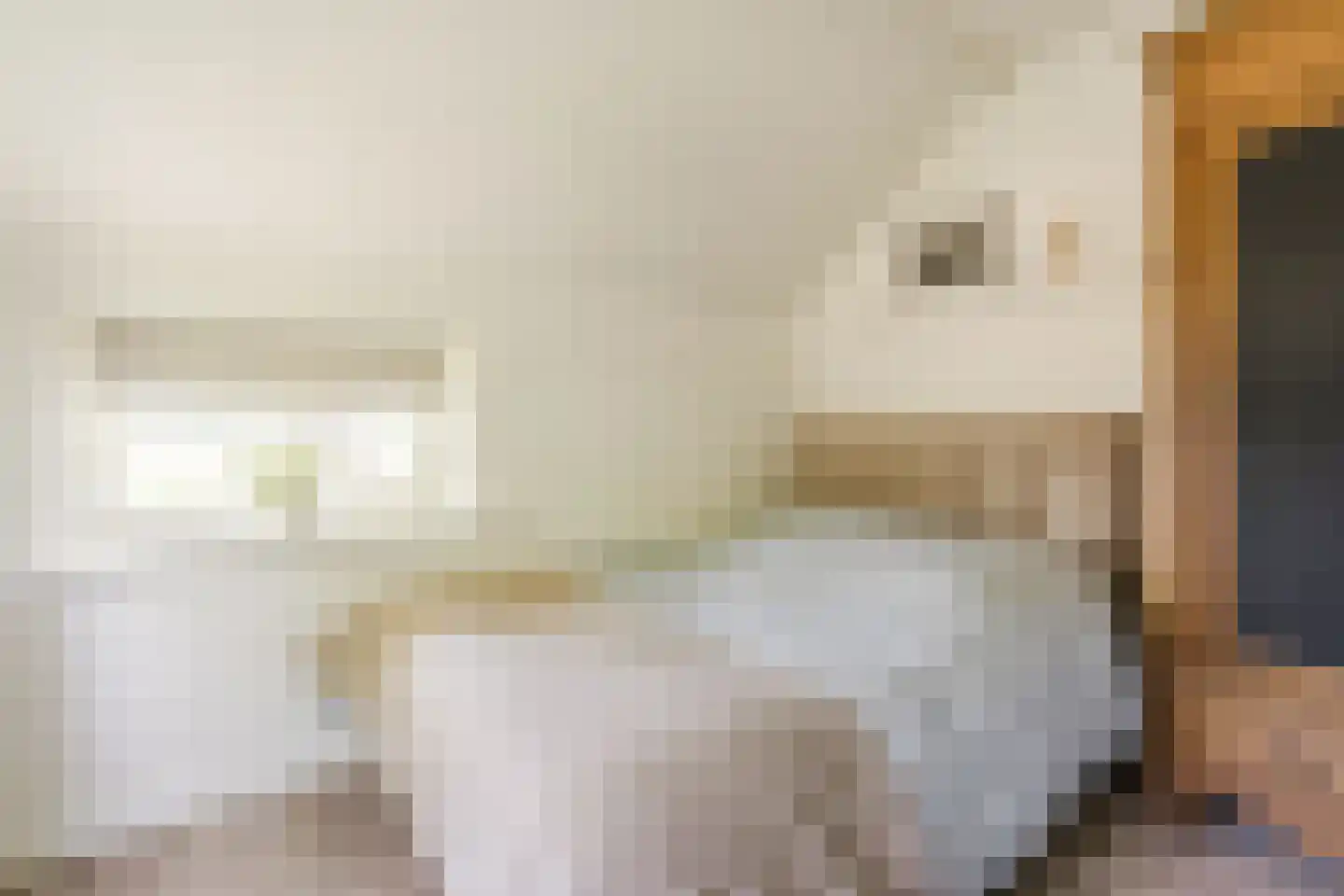 Achter de Broeken 6 Ruinen thumbnail 28