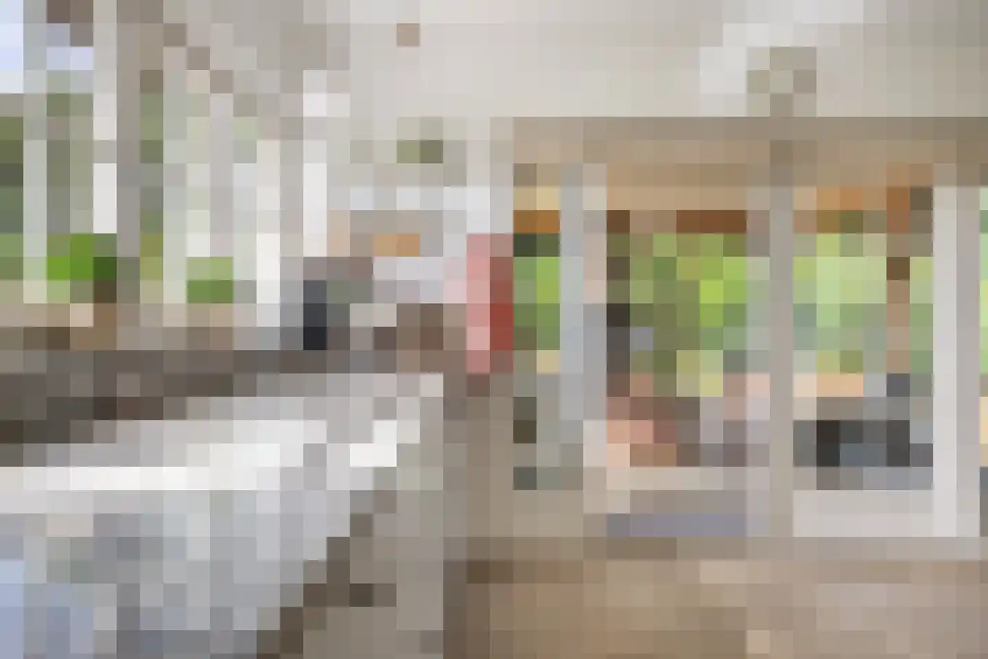 Achter de Broeken 6 Ruinen thumbnail 29
