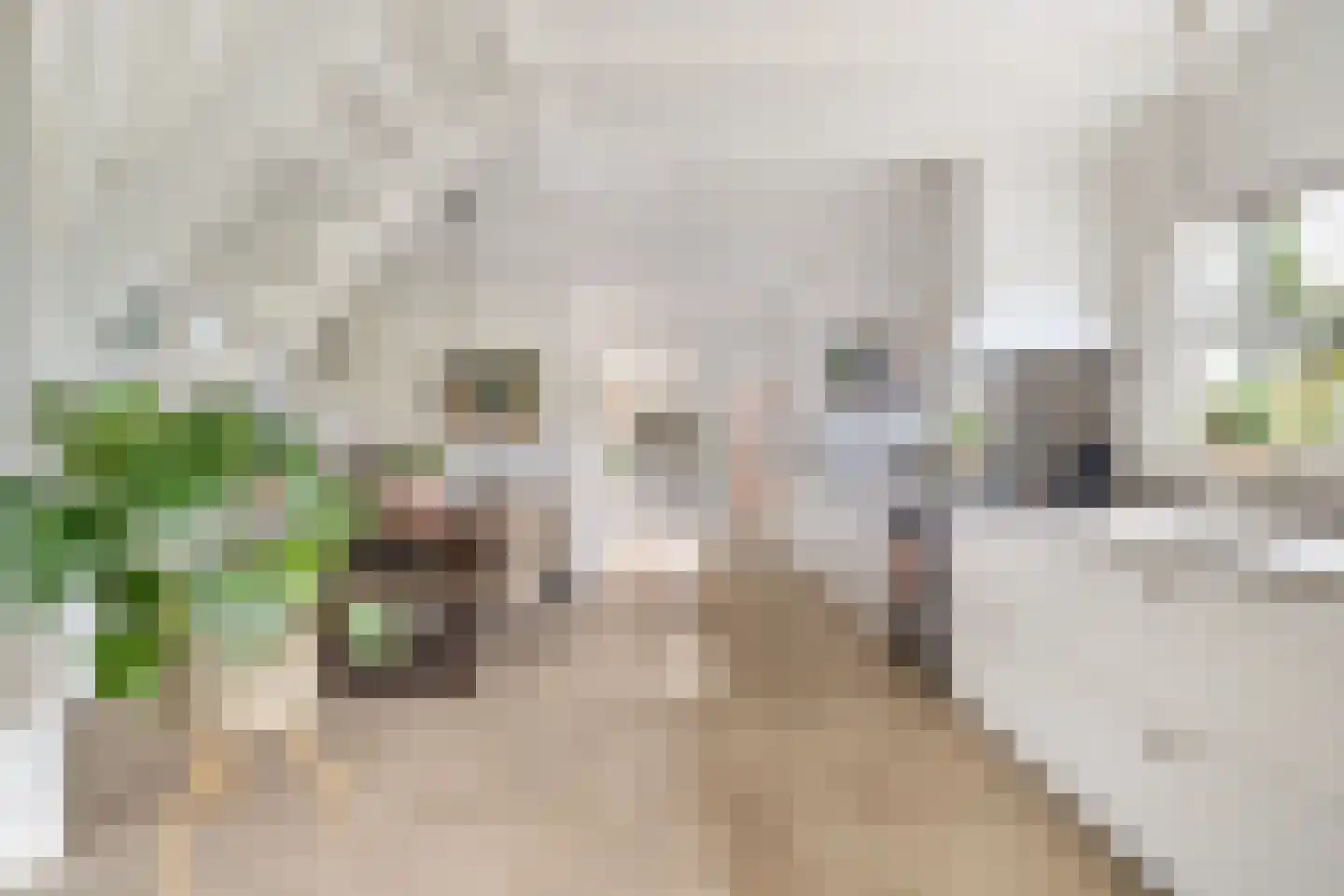 Achter de Broeken 6 Ruinen foto 3