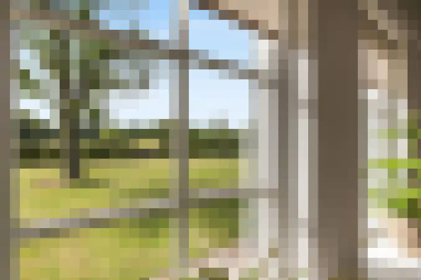 Achter de Broeken 6 Ruinen thumbnail 30