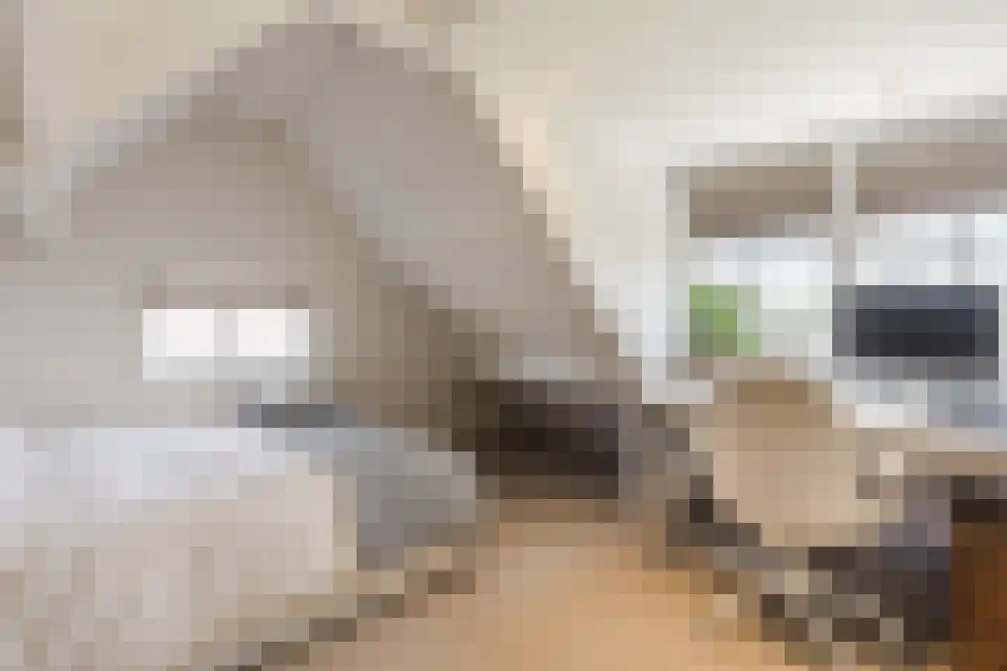 Achter de Broeken 6 Ruinen thumbnail 35