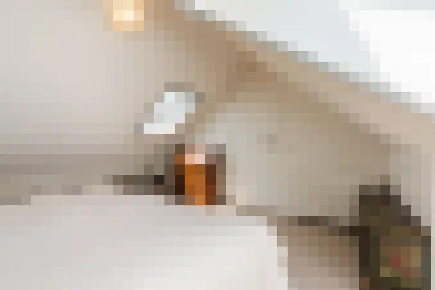 Achter de Broeken 6 Ruinen thumbnail 37