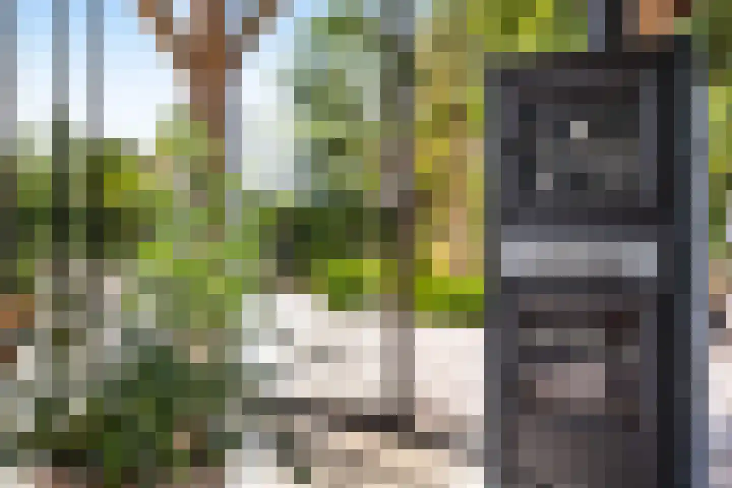 Achter de Broeken 6 Ruinen thumbnail 41