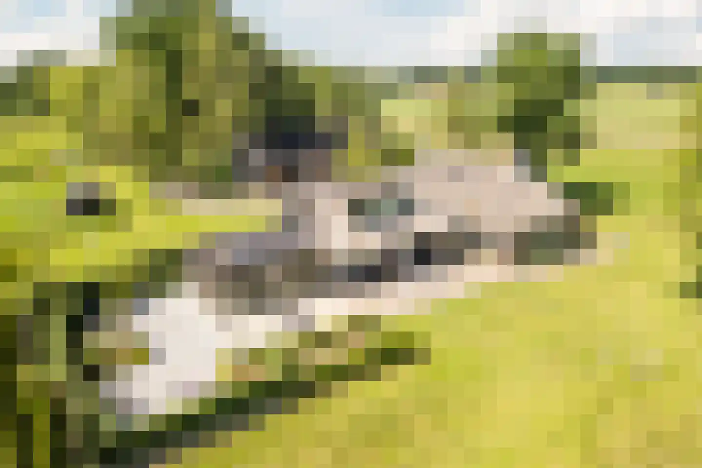 Achter de Broeken 6 Ruinen thumbnail 42