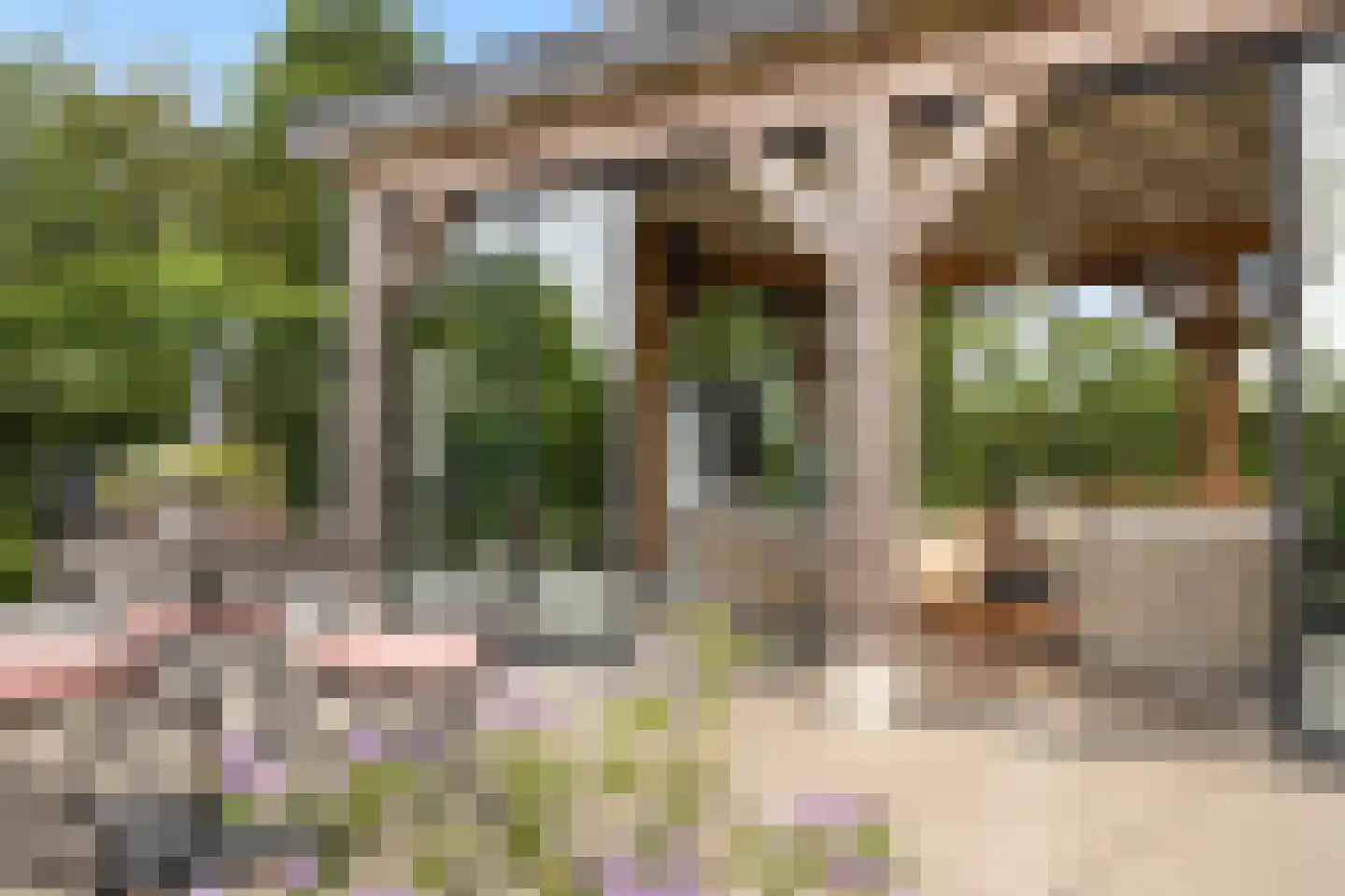 Achter de Broeken 6 Ruinen thumbnail 42
