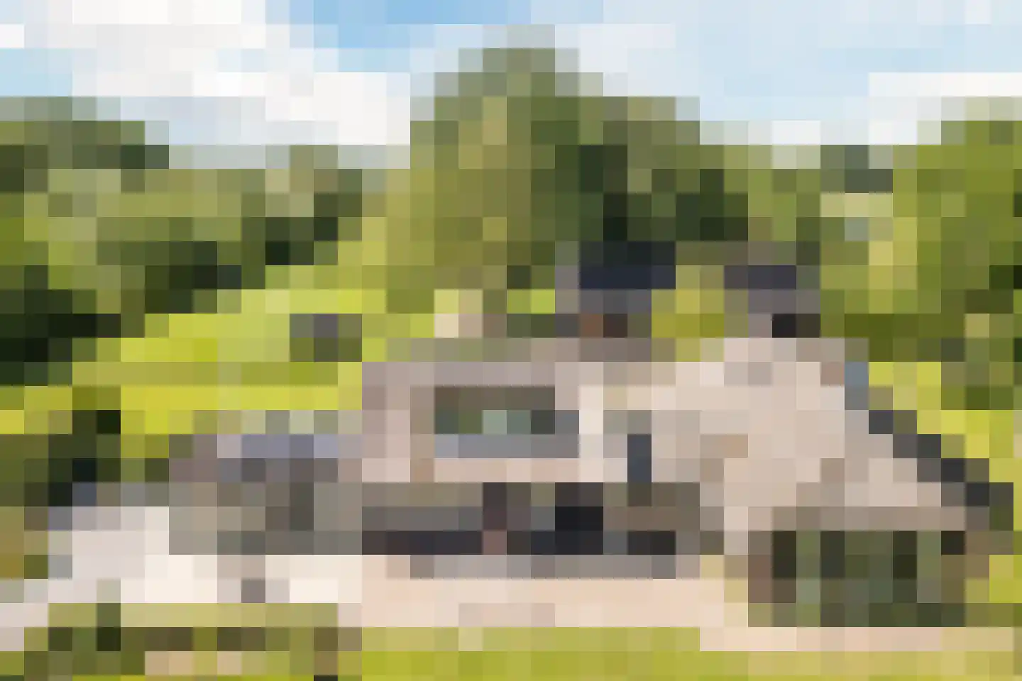 Achter de Broeken 6 Ruinen thumbnail 43