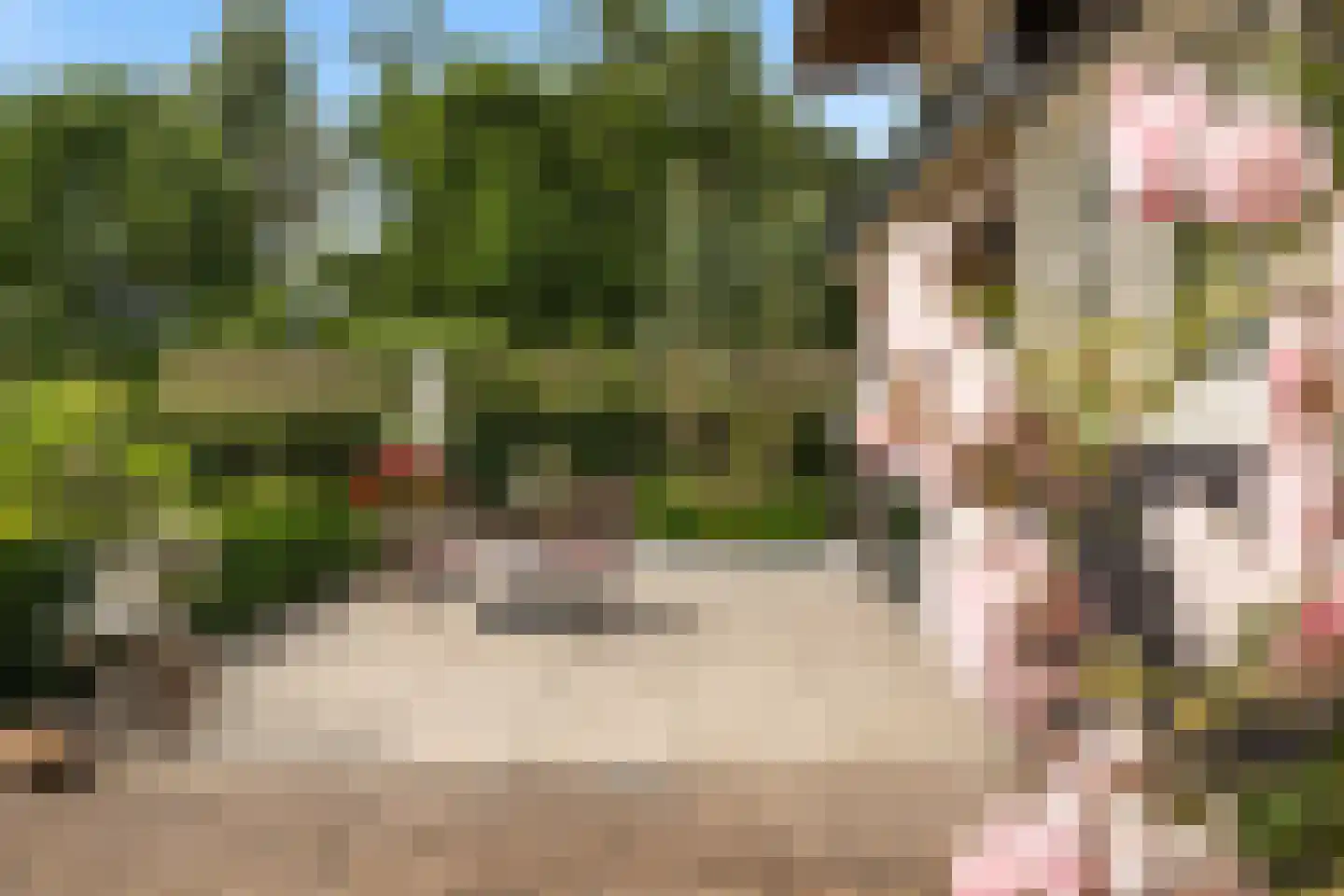 Achter de Broeken 6 Ruinen thumbnail 43