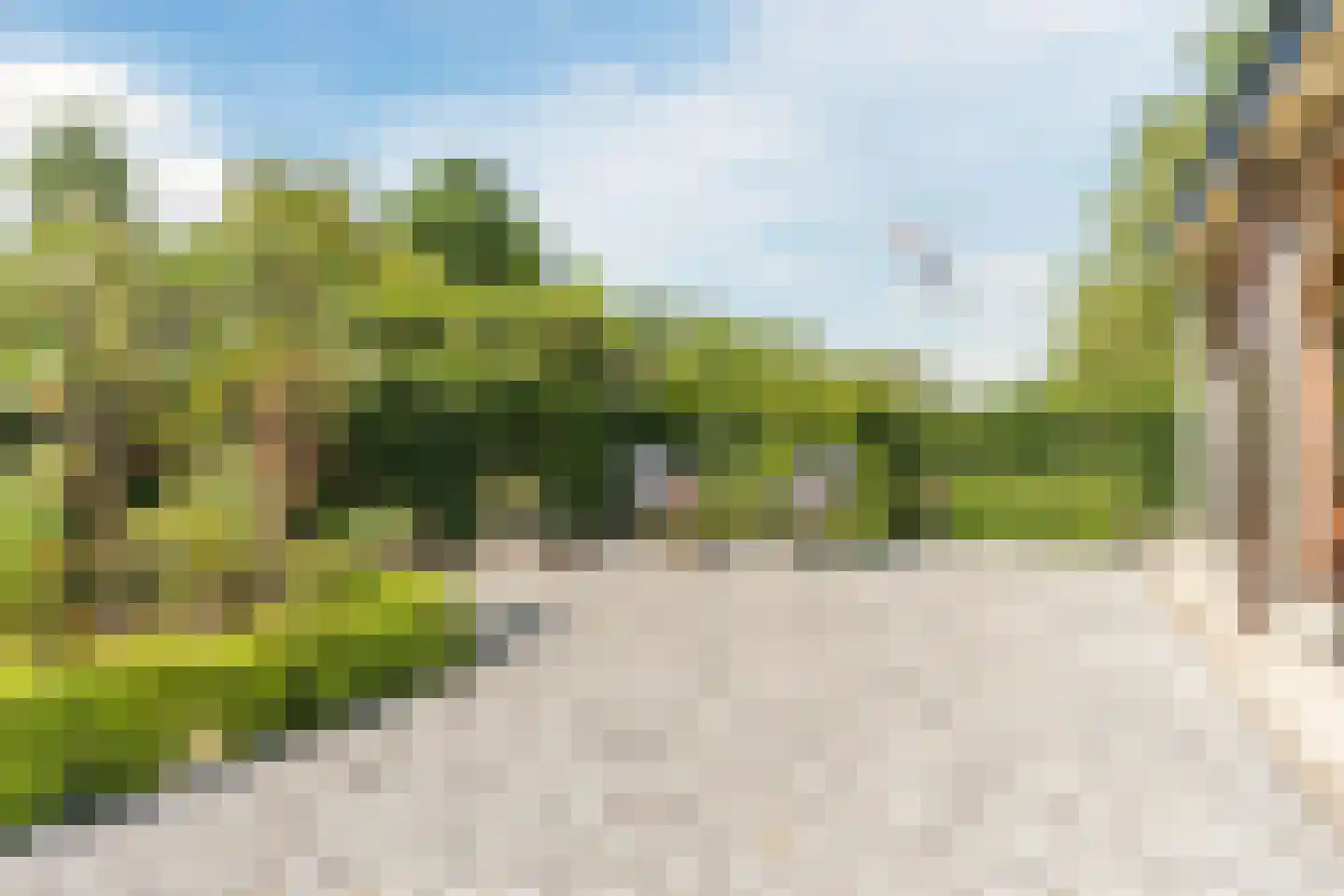 Achter de Broeken 6 Ruinen thumbnail 49