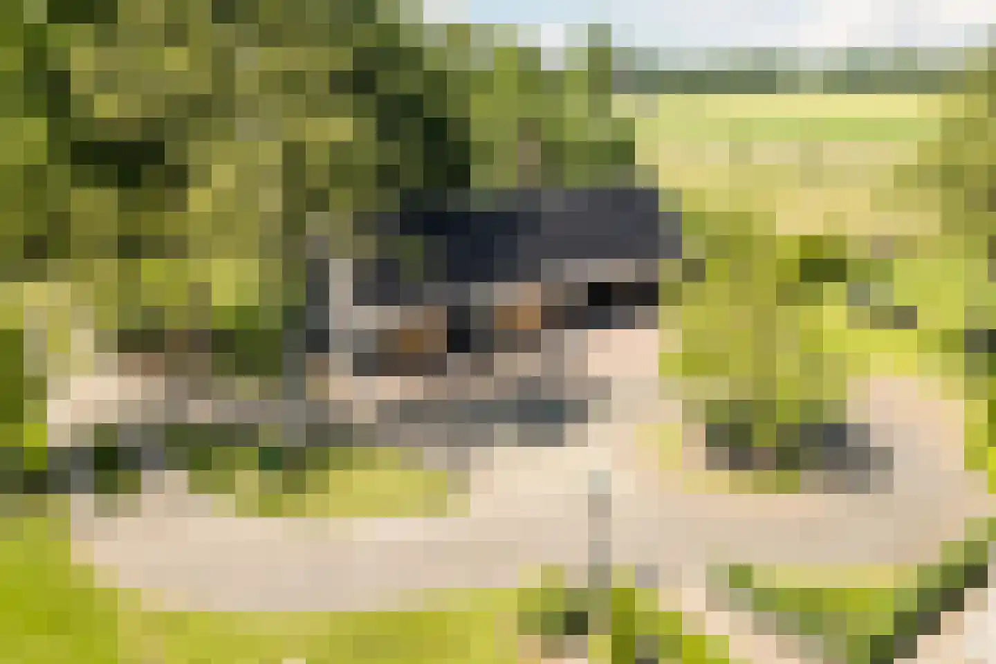 Achter de Broeken 6 Ruinen thumbnail 50