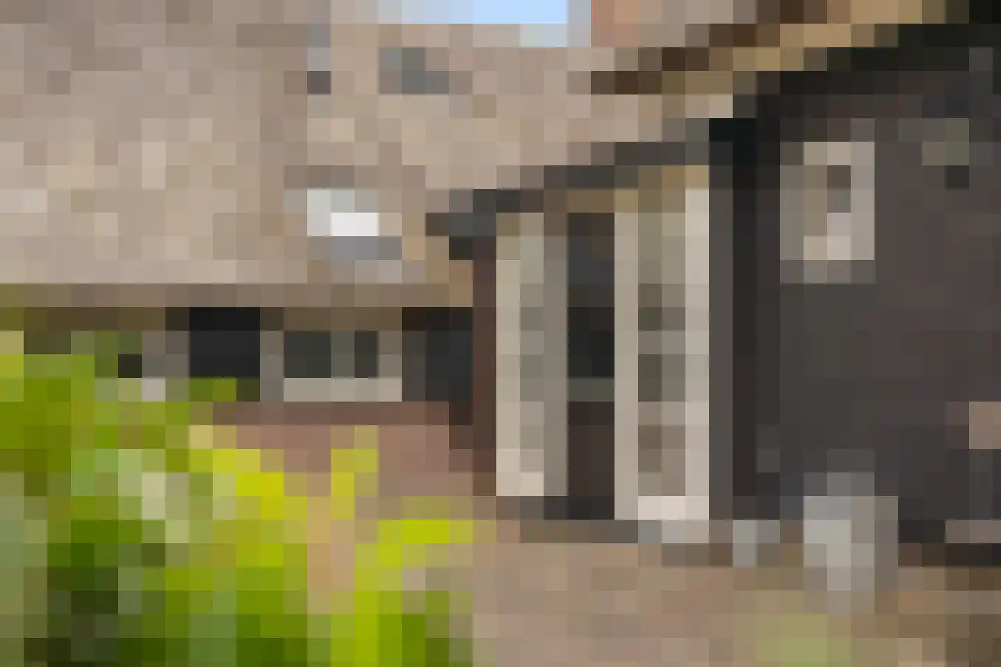 Achter de Broeken 6 Ruinen thumbnail 51