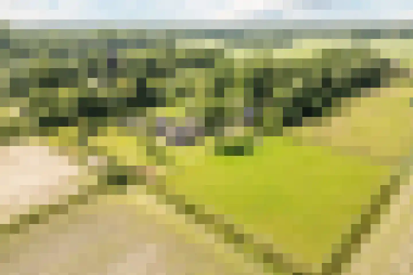 Achter de Broeken 6 Ruinen thumbnail 54