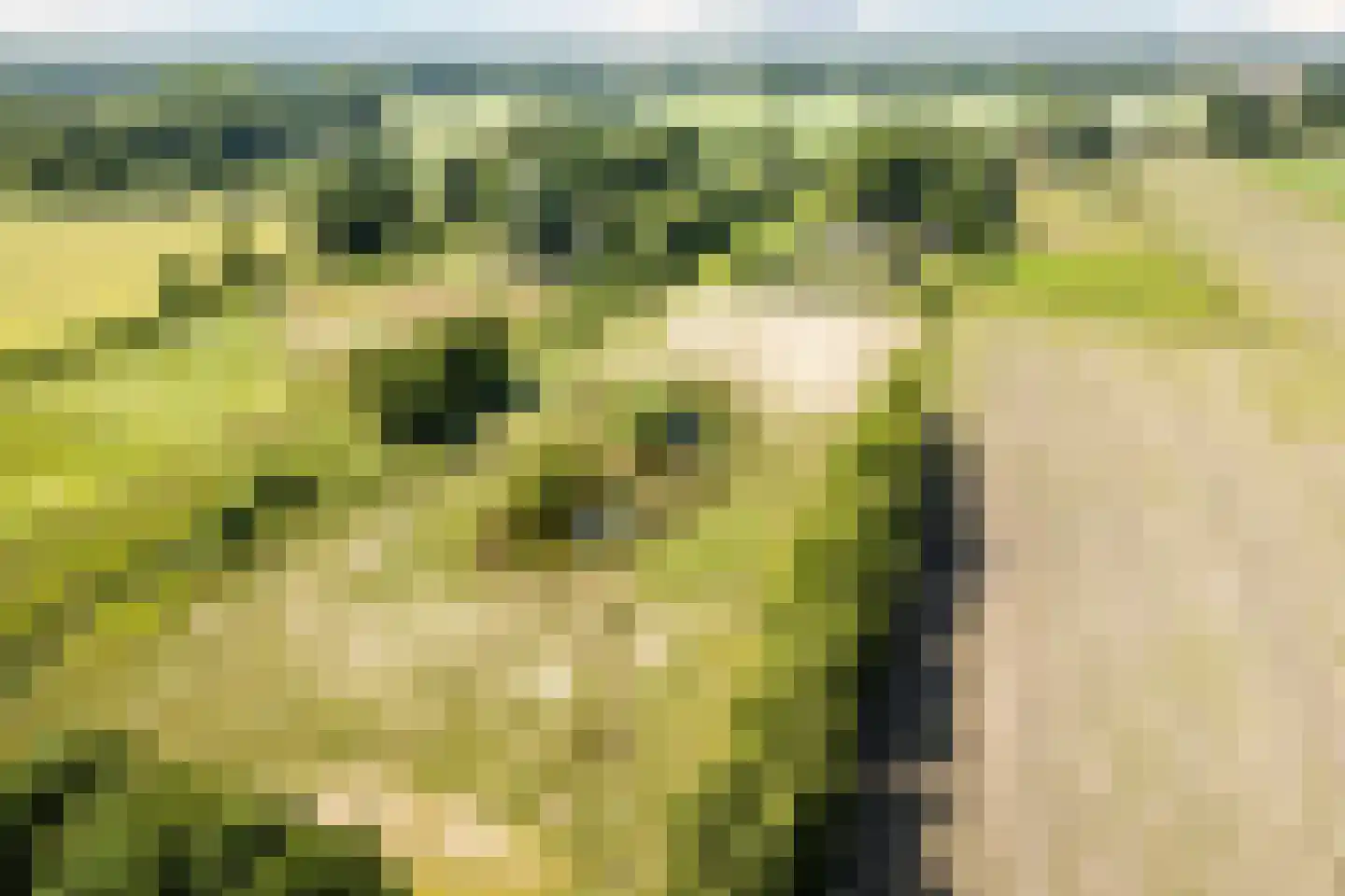 Achter de Broeken 6 Ruinen thumbnail 55
