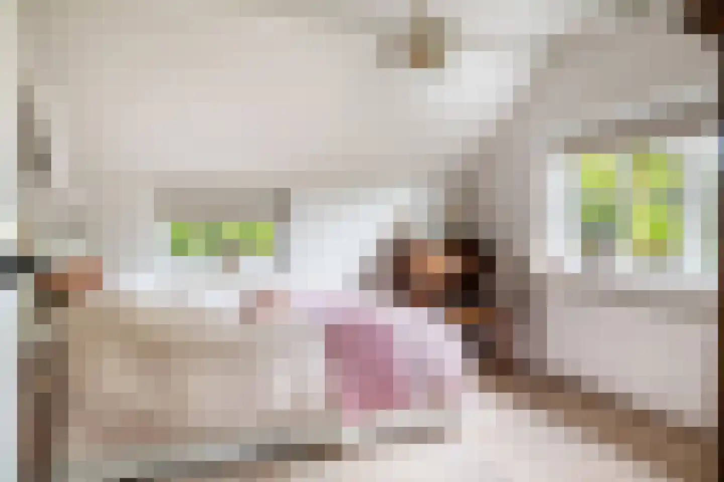 Achter de Broeken 6 Ruinen thumbnail 56