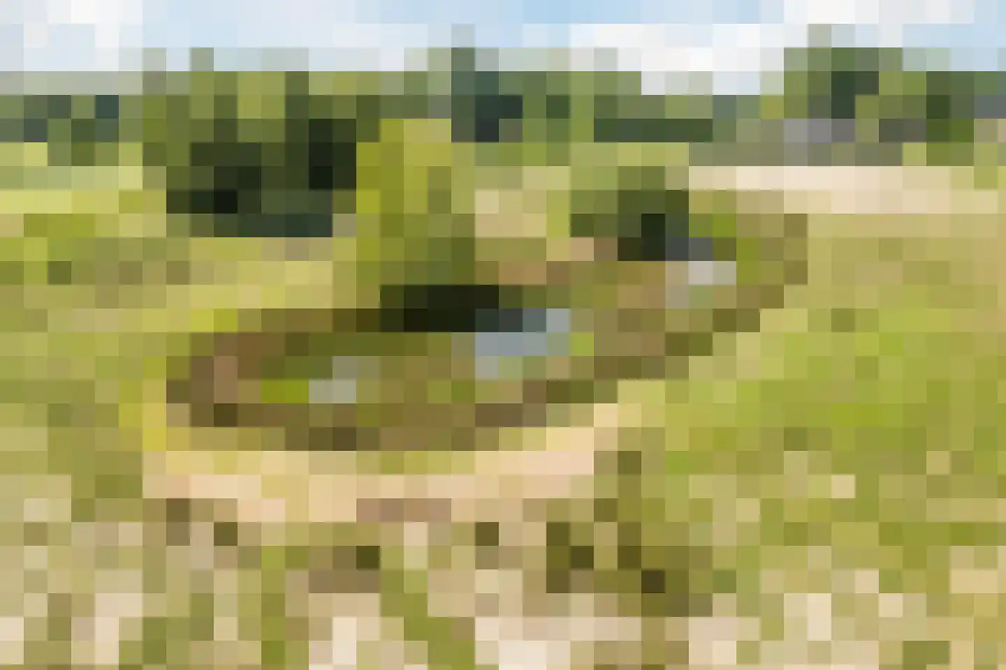 Achter de Broeken 6 Ruinen thumbnail 56