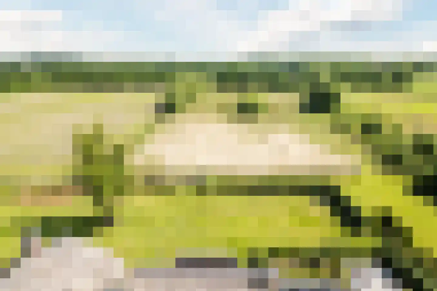 Achter de Broeken 6 Ruinen thumbnail 57