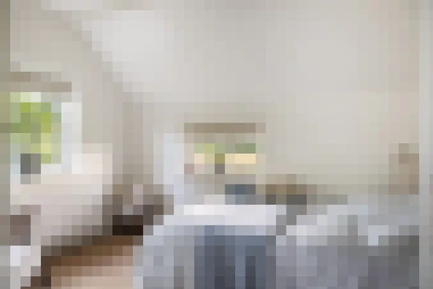 Achter de Broeken 6 Ruinen thumbnail 58