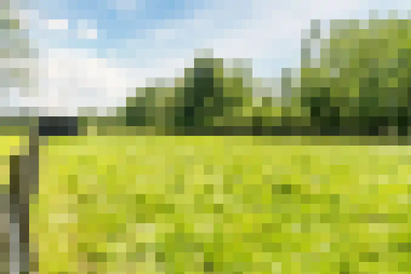 Achter de Broeken 6 Ruinen thumbnail 59