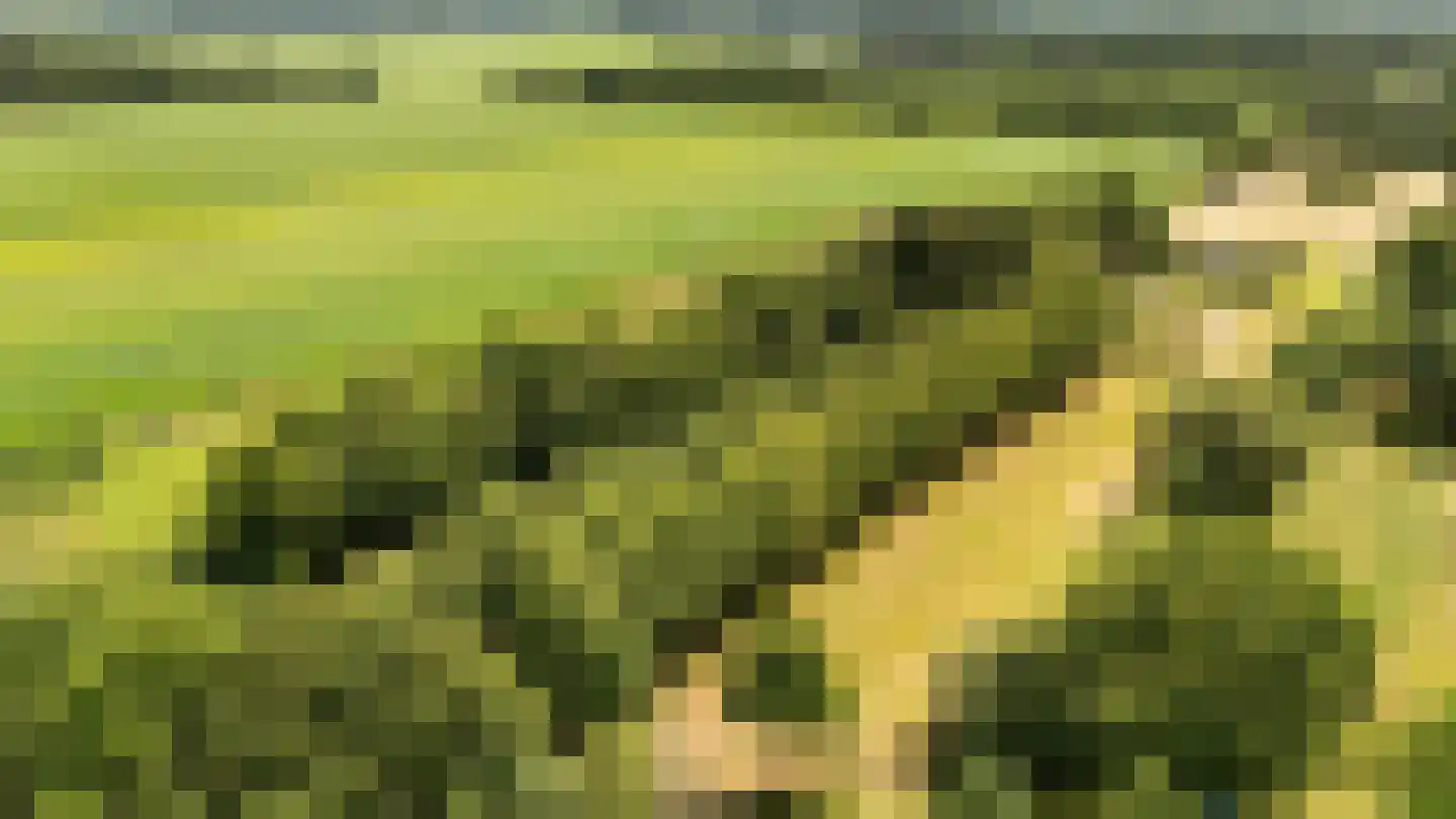 Achter de Broeken 6 Ruinen thumbnail 6