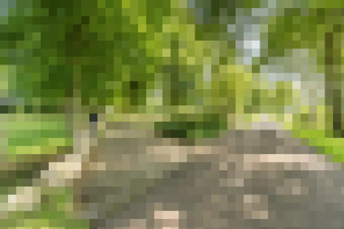 Achter de Broeken 6 Ruinen thumbnail 60