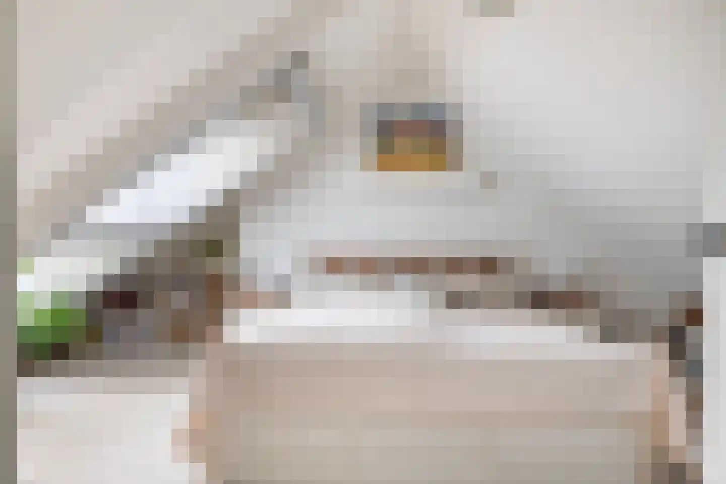 Achter de Broeken 6 Ruinen thumbnail 60