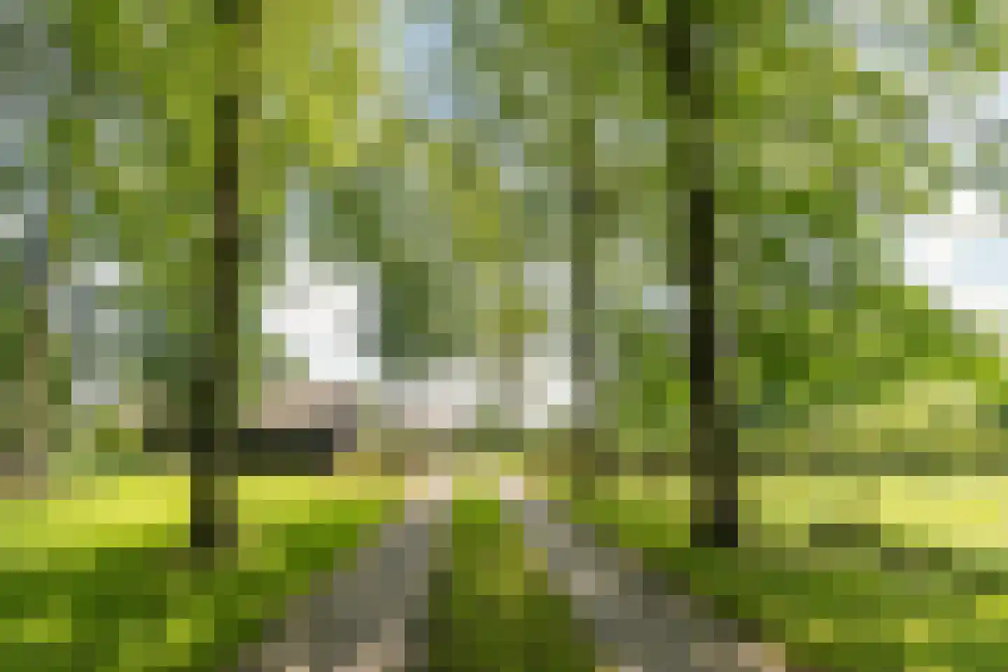 Achter de Broeken 6 Ruinen thumbnail 61