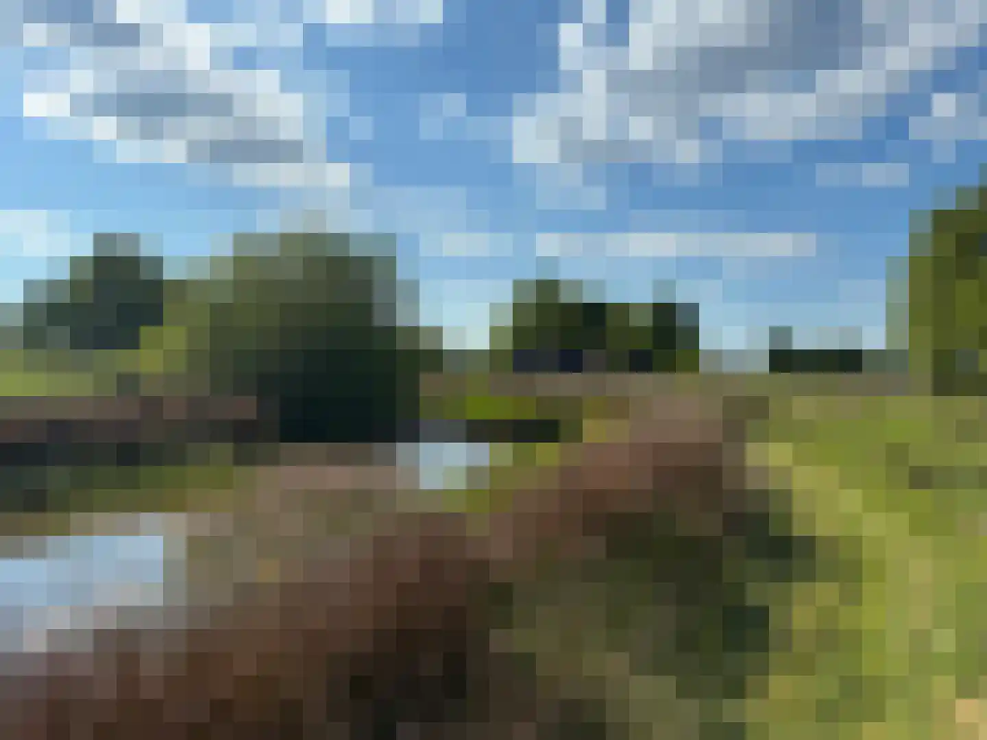 Achter de Broeken 6 Ruinen thumbnail 69