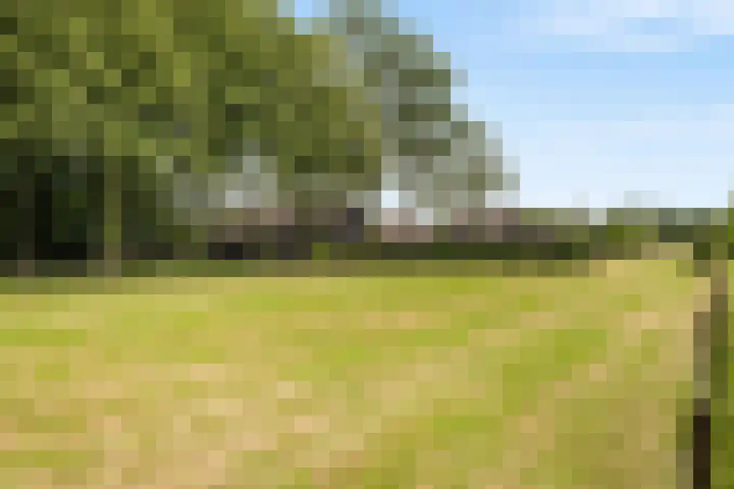 Achter de Broeken 6 Ruinen thumbnail 77