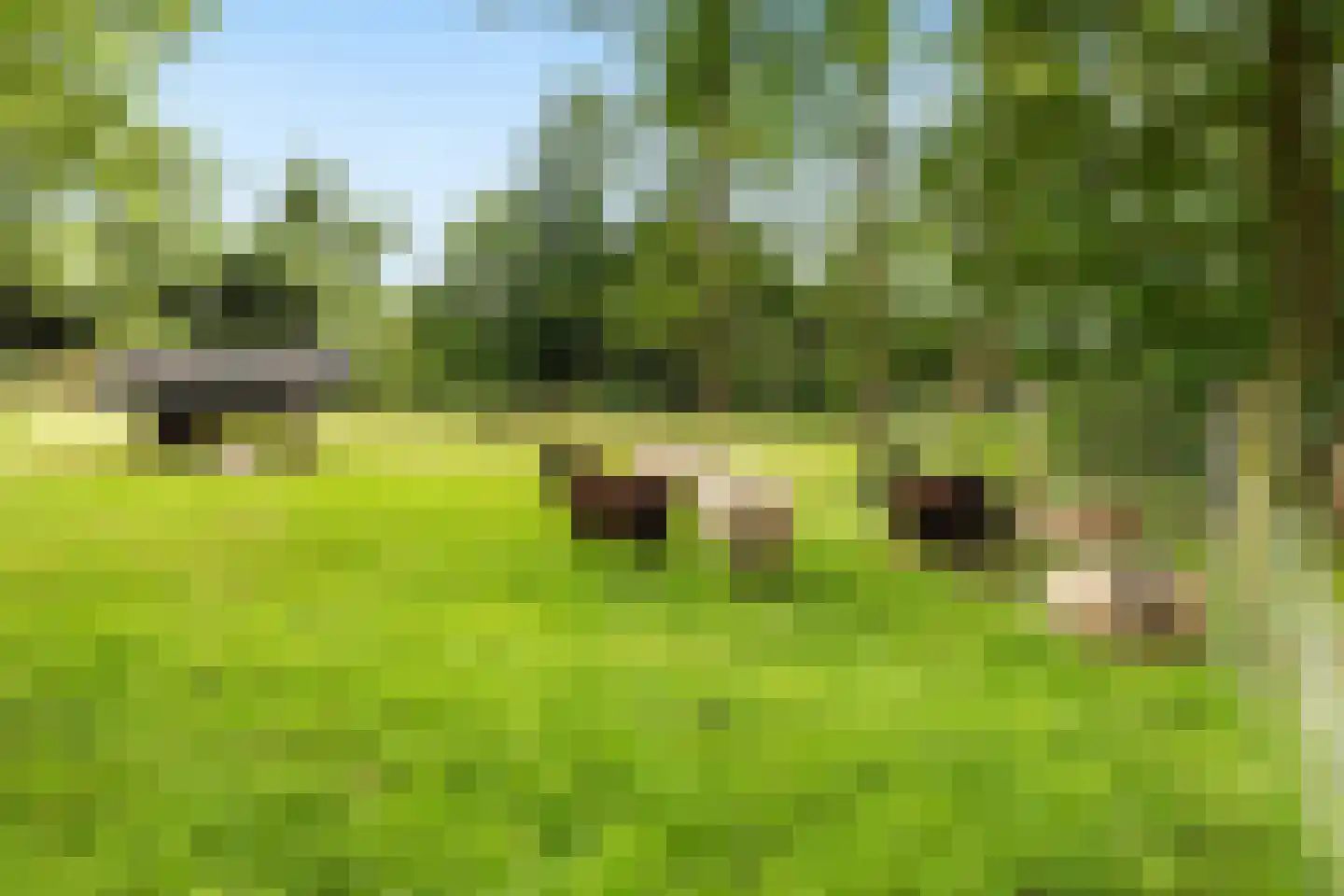 Achter de Broeken 6 Ruinen thumbnail 78