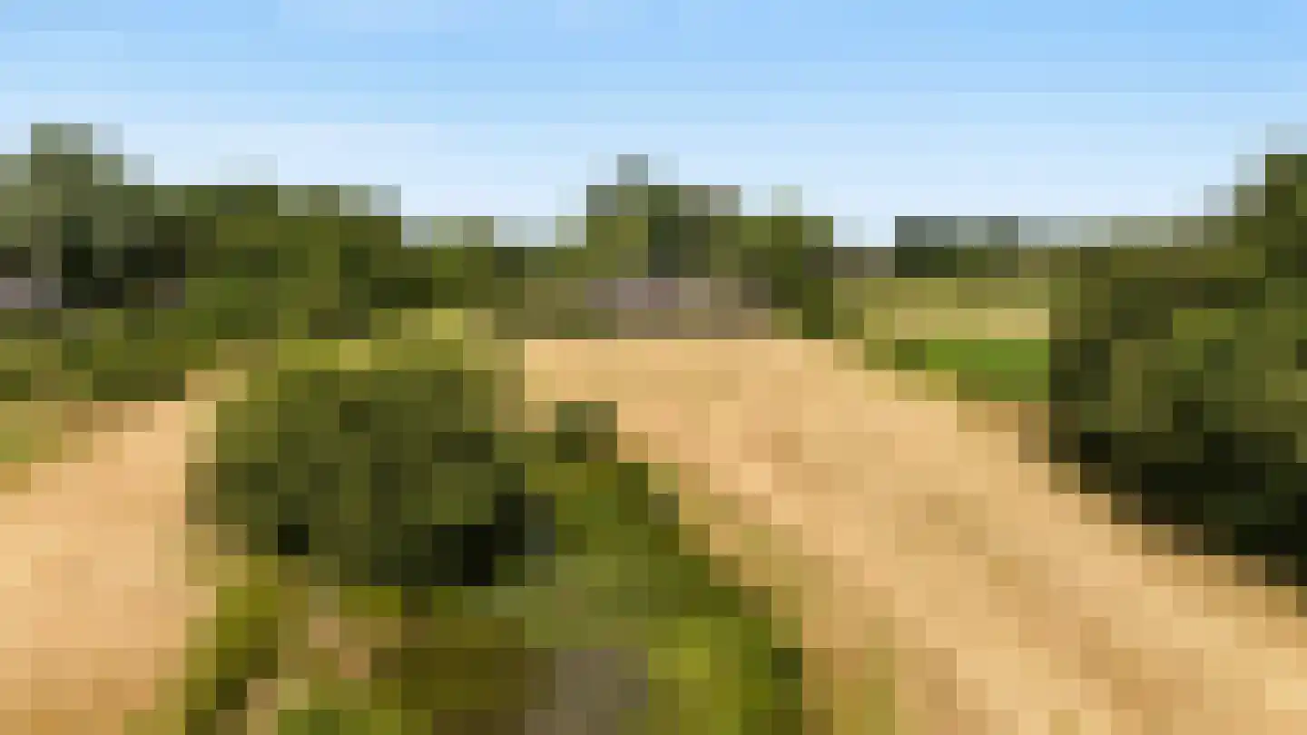 Achter de Broeken 6 Ruinen thumbnail 79