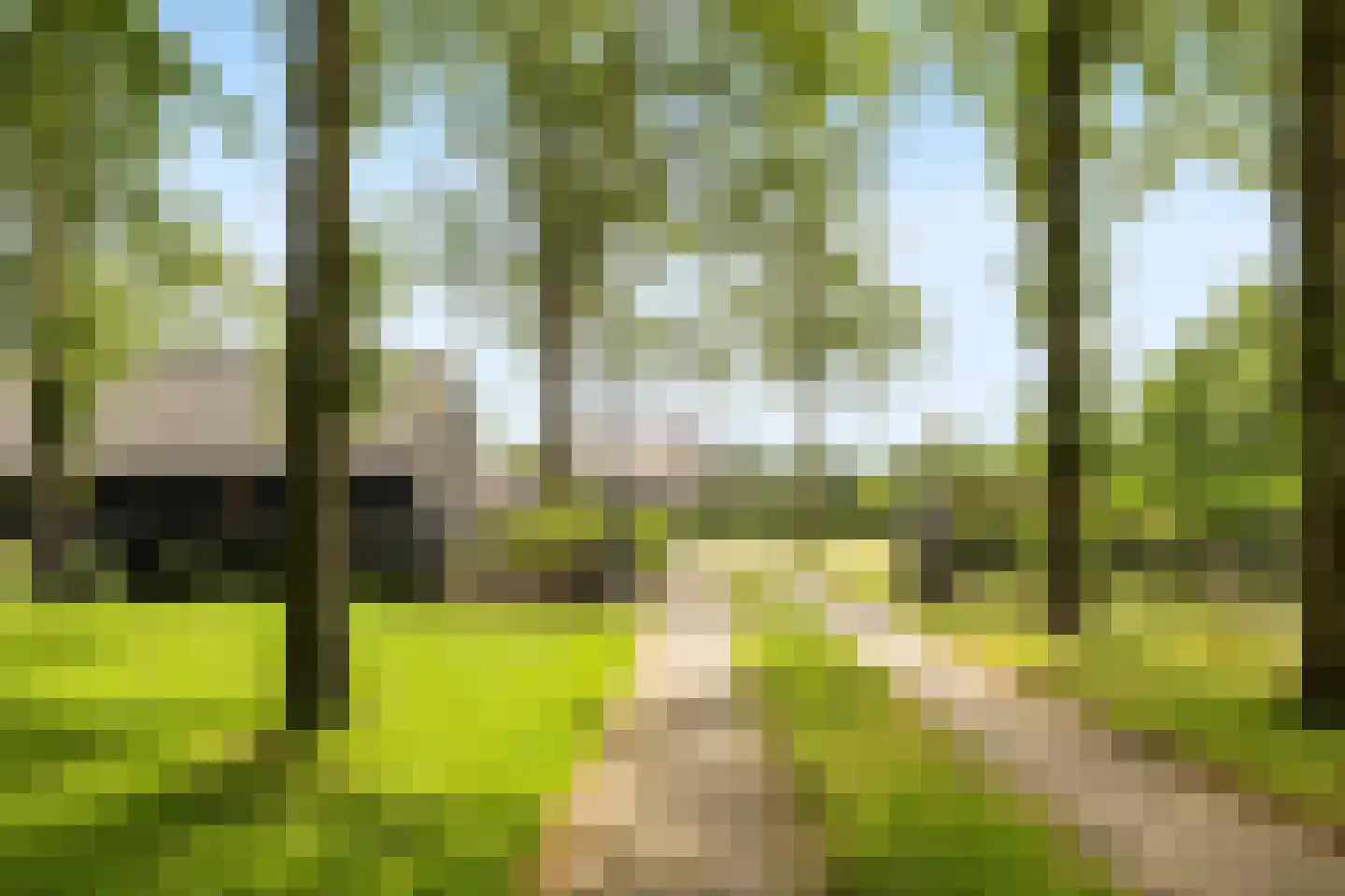 Achter de Broeken 6 Ruinen thumbnail 8