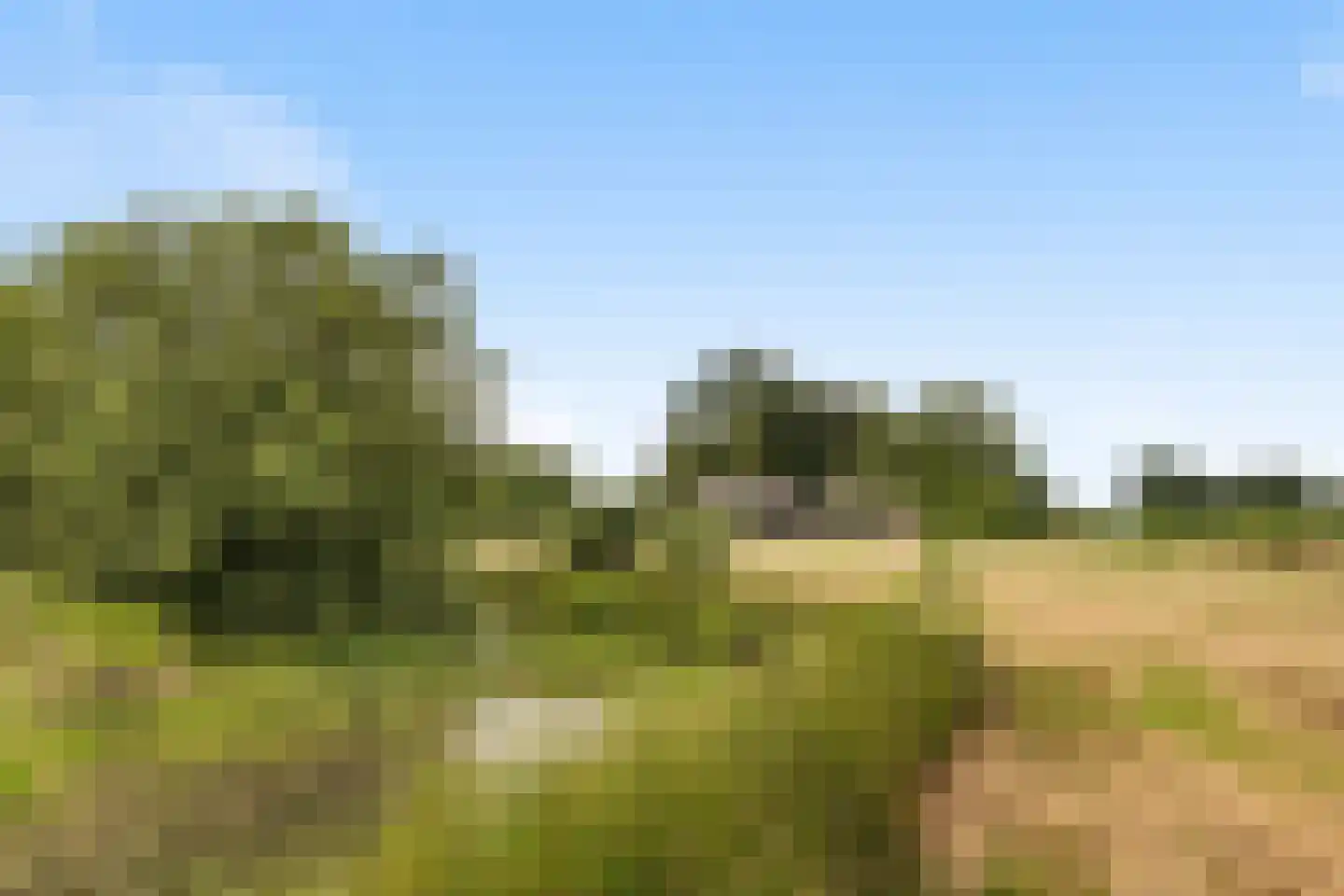 Achter de Broeken 6 Ruinen thumbnail 80