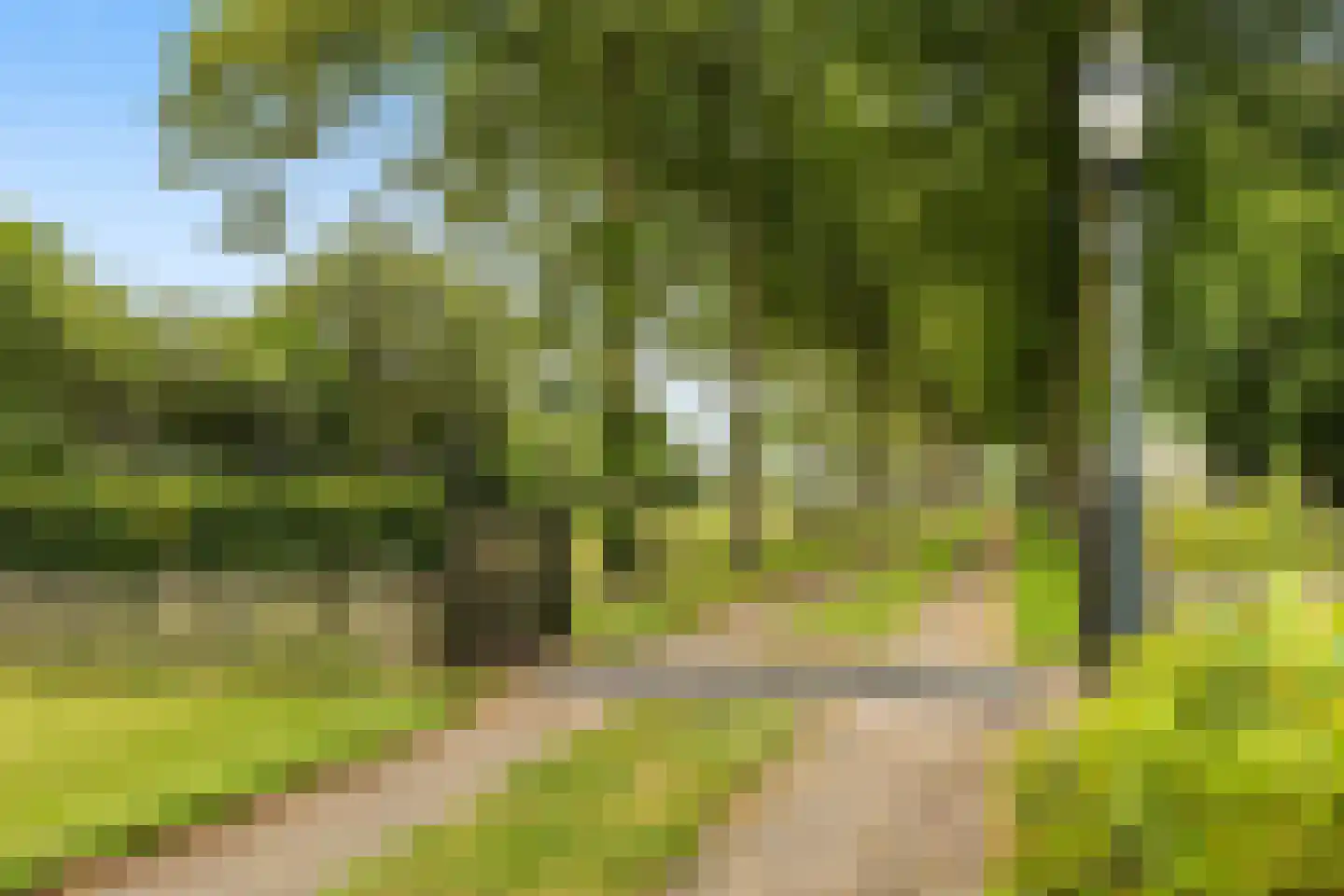 Achter de Broeken 6 Ruinen thumbnail 83