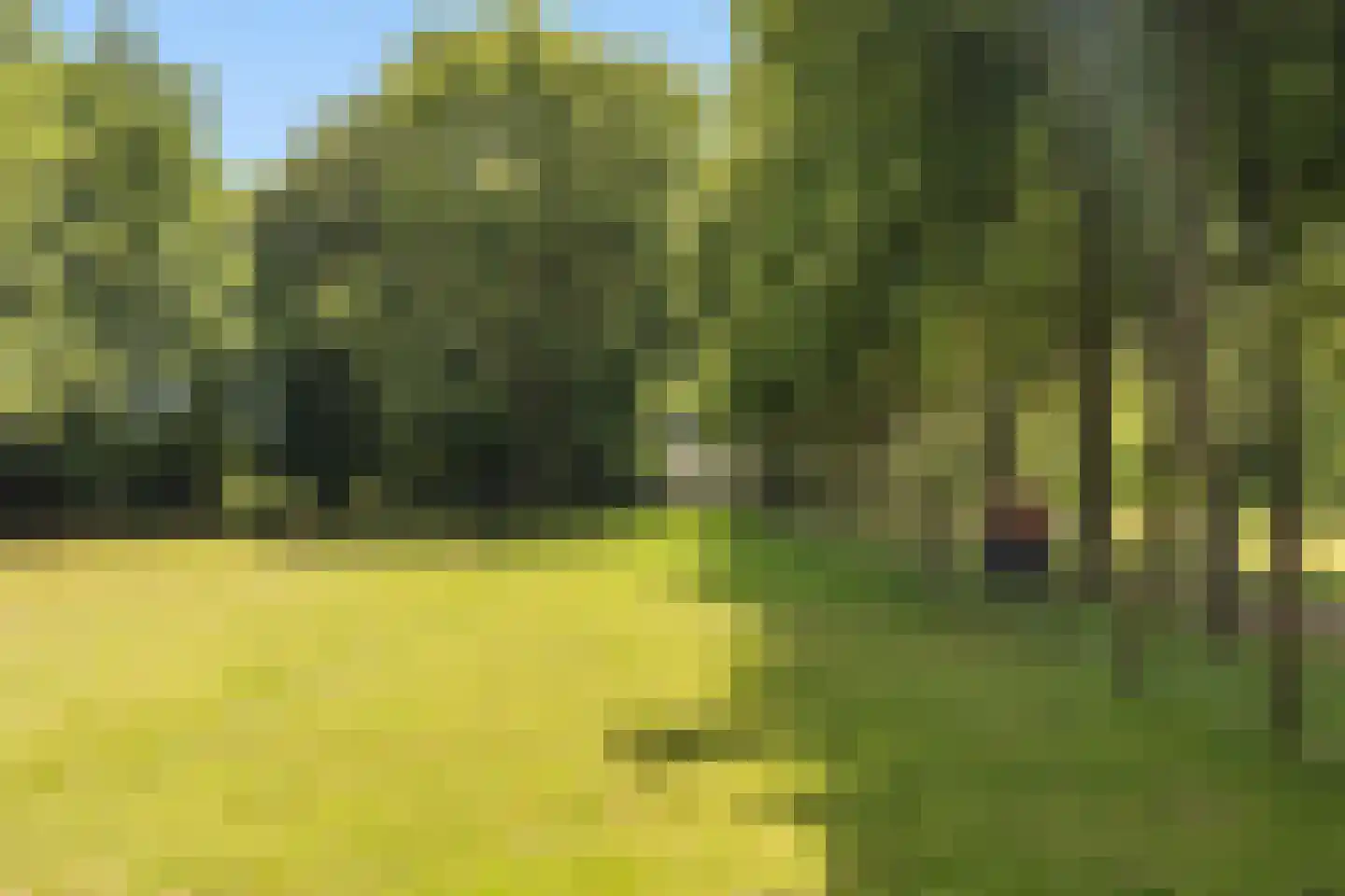 Achter de Broeken 6 Ruinen thumbnail 84
