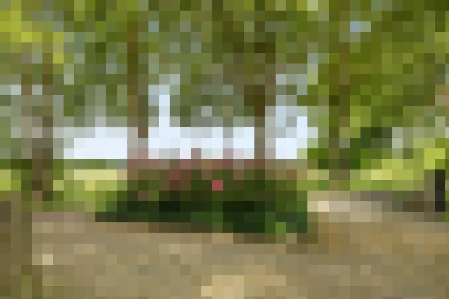 Achter de Broeken 6 Ruinen thumbnail 85