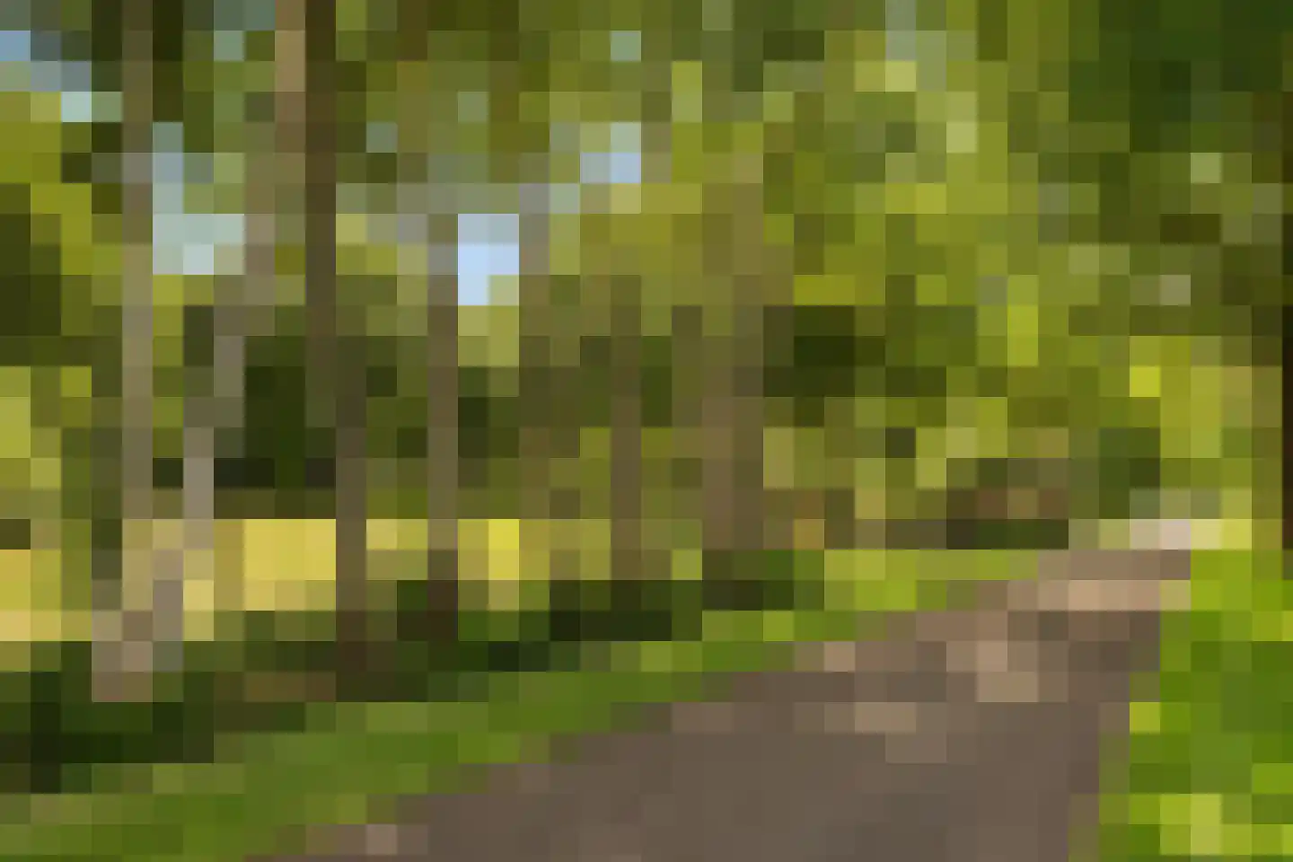 Achter de Broeken 6 Ruinen thumbnail 86