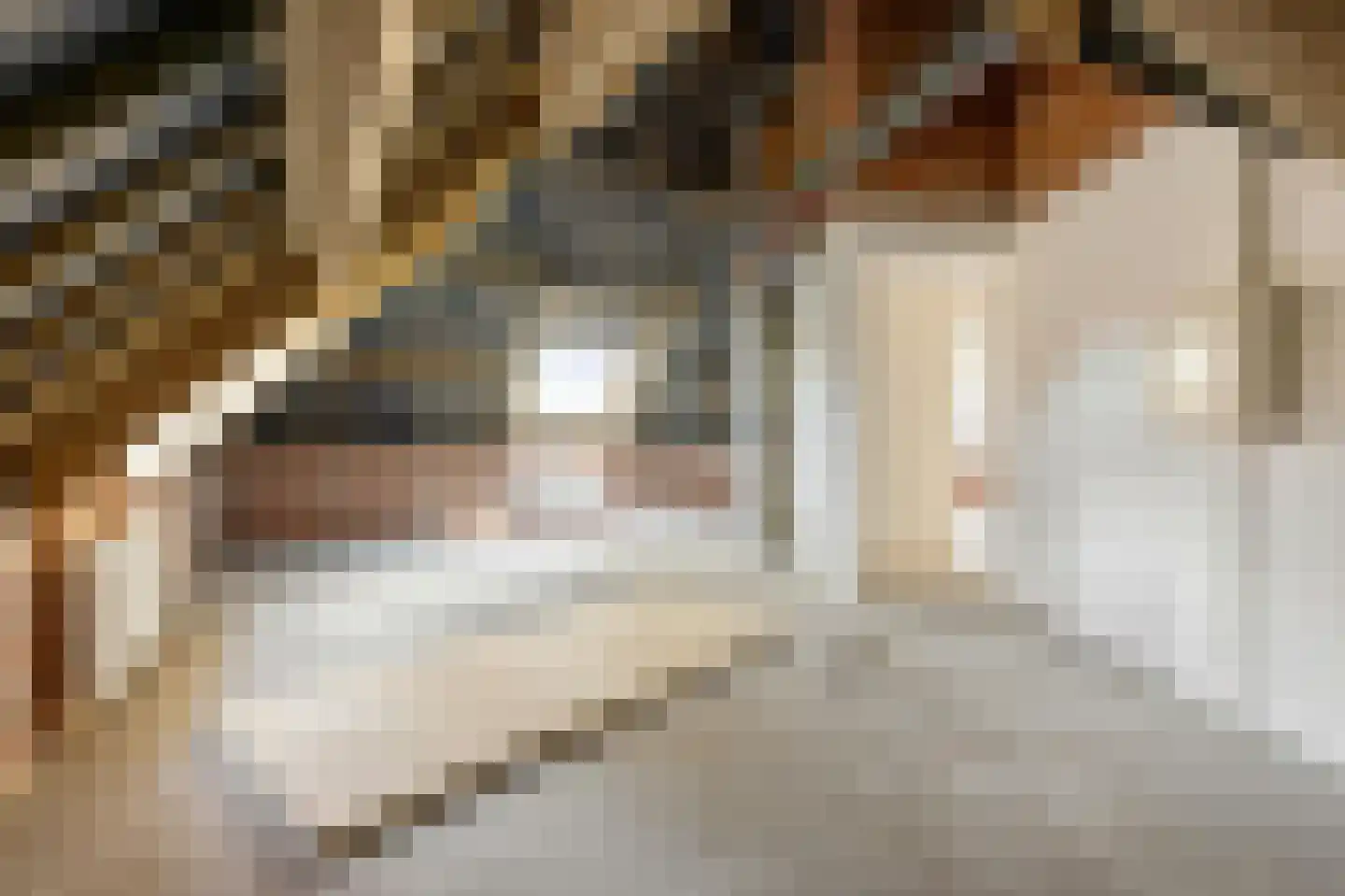 Achter de Brouwerij 30 Broekhuizenvorst thumbnail 20