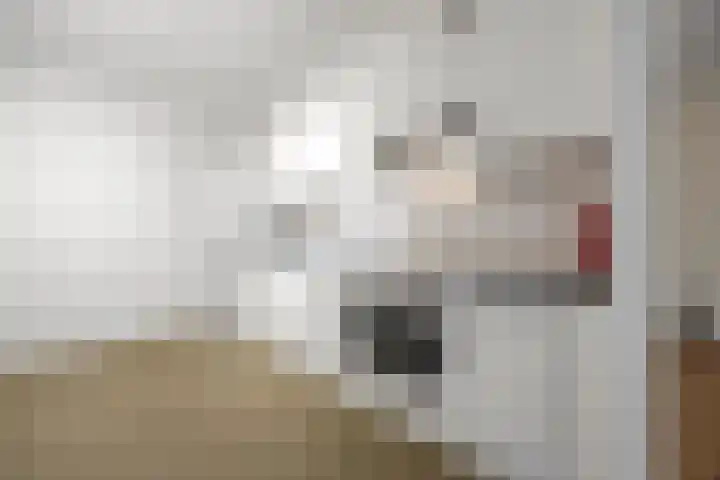 Achter de Carmel 28 Nijmegen thumbnail 8