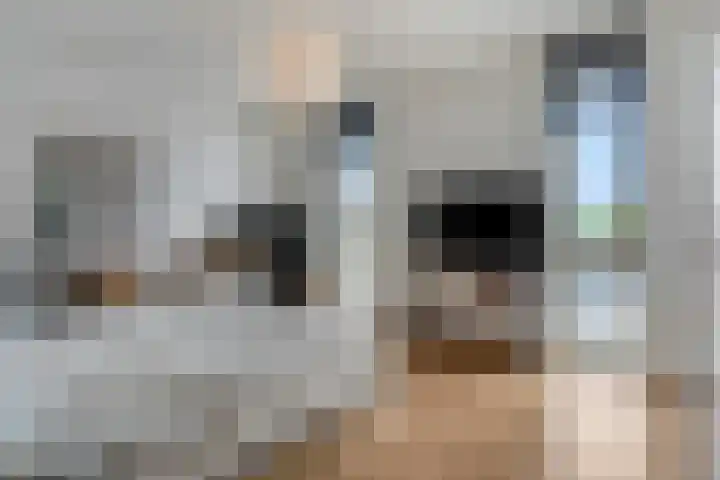 Achter de Carmel 32 Nijmegen thumbnail 20
