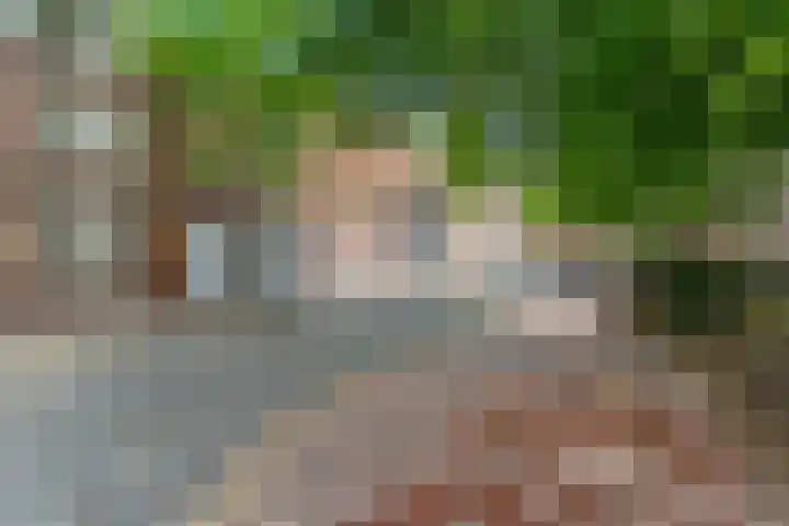 Achter de Carmel 32 Nijmegen thumbnail 25