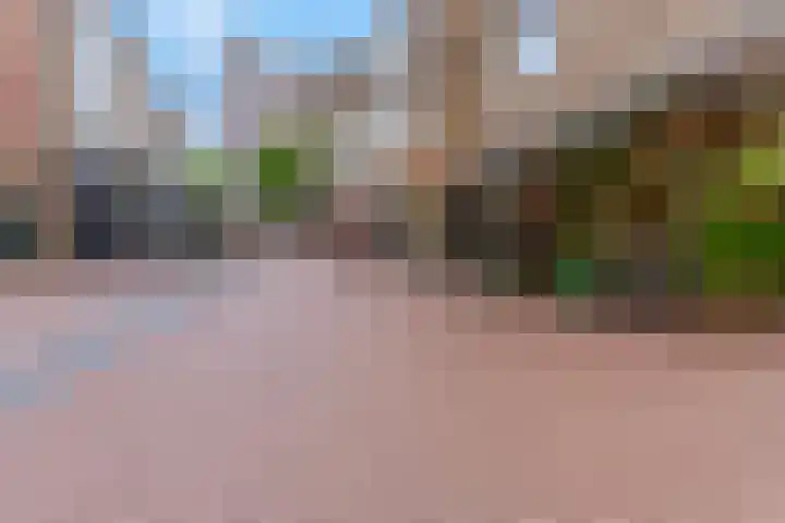 Achter de Carmel 32 Nijmegen thumbnail 27