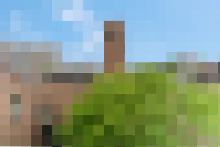 Achter de Carmel 32 Nijmegen thumbnail 28