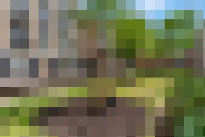 Achter de Carmel 32 Nijmegen thumbnail 31