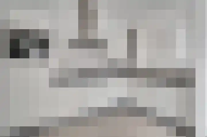 Achter de Cattentoren 12 Roermond thumbnail 14