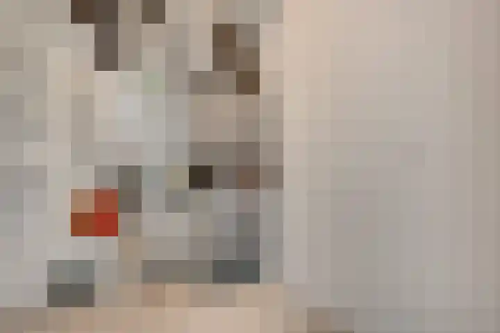 Achter de Cattentoren 12 Roermond thumbnail 20