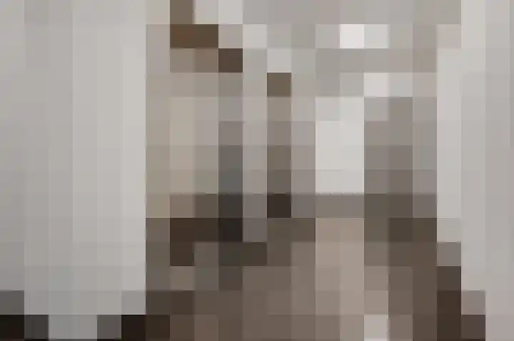 Achter de Cattentoren 12 Roermond thumbnail 5
