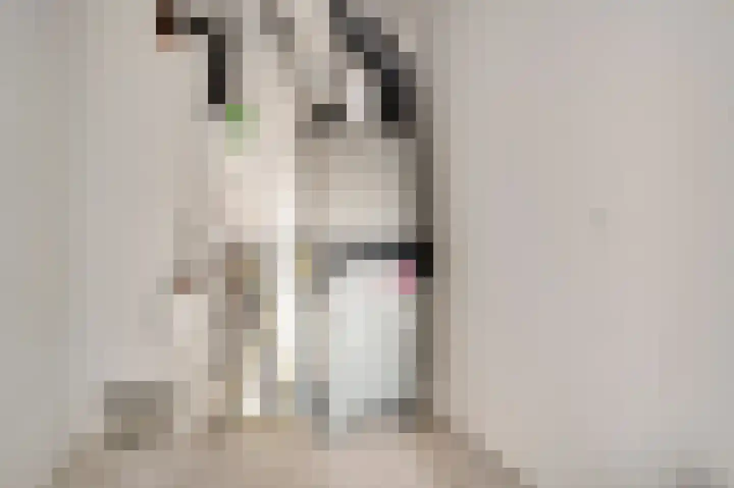 Achter de Cattentoren 26 Roermond thumbnail 27